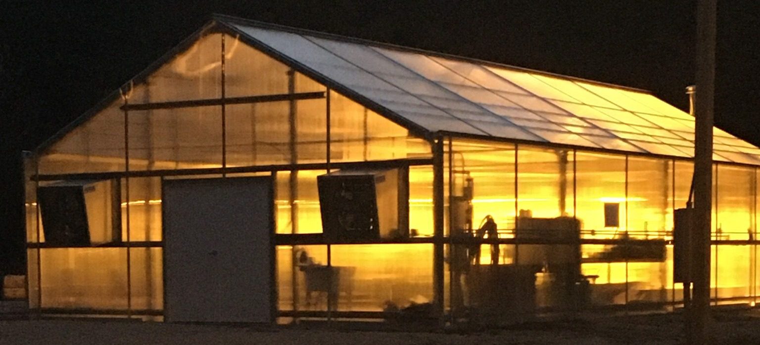 image of a greenhouse at night