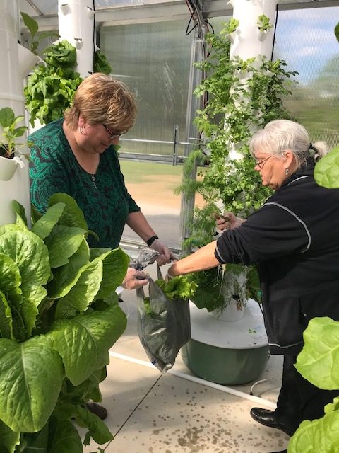 Greenhouse employee assisting customer
